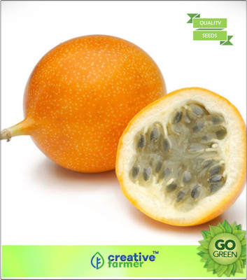 

Creative Farmer Fruit Seeds Exotic Outdoor Plants Yellow Honey Fruit Seeds Seed(20 per packet)