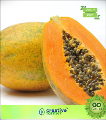 

Creative Farmer Fruit Seeds Green Papaya Fruit Seeds For Garden Bonsai Plant Seeds Seed(20 per packet)