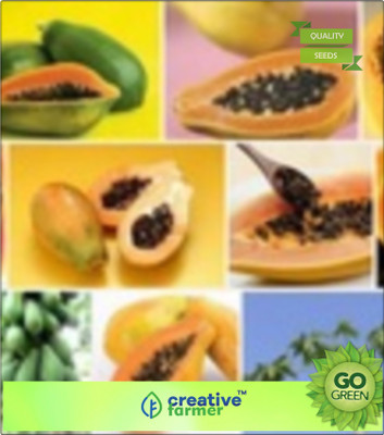

Creative Farmer Vegetable Seeds - Papaya Dwarf Variety - Huge Production 50 Seeds Plant Seeds Seed(20 per packet)