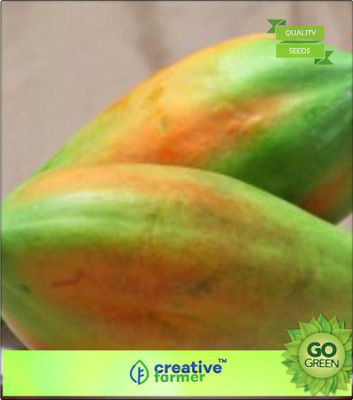 

Creative Farmer Red Papaya Fruit Seeds For Garden Bonsai Plant Seeds Seed(20 per packet)
