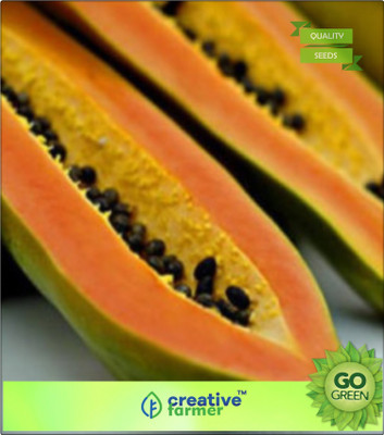 

Creative Farmer Fruit Seeds Papaya Imported Fruit Seeds Seed(20 per packet)