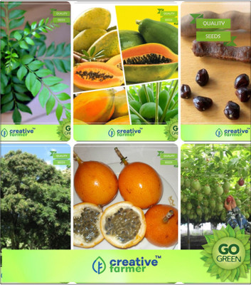 

Creative Farmer Plant For Home Curry Leaf Karivepillai - Murraya Koenigii Plant Seeds Seeds For Planting Garden Plant Seeds Seed(20 per packet)