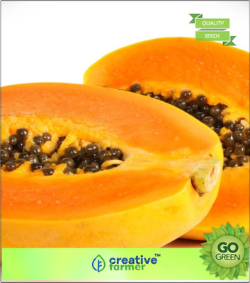 

Creative Farmer Papaya Seeds Pusa Fruit Seeds For Kitchen Garden Bonsai Plant Seeds Seed(20 per packet)