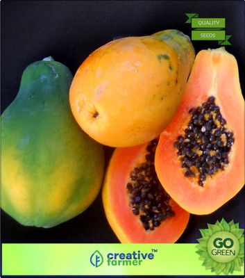 

Creative Farmer Papaya Fruit Seeds Mixed Varieties Fruit Seeds Seed(20 per packet)