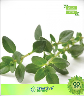 

Creative Farmer Flowering Herb Thyme Seed(20 per packet)