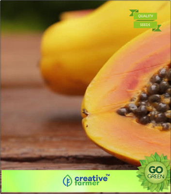 

Creative Farmer Yellow Flesh Papaya Fruit Seeds For Garden Bonsai Plant Seeds Seed(20 per packet)