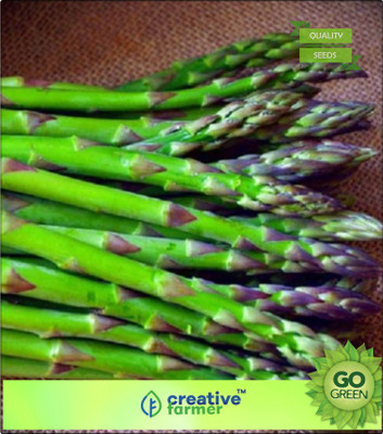 

Creative Farmer Asparagus Officinalis Vegetable Crop Seed(20 per packet)