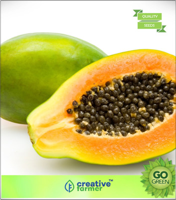 

Creative Farmer Fruit Seeds All Season - Papaya Hyb Garden Fruit Seeds Bonsai Plant Seeds Seed(20 per packet)