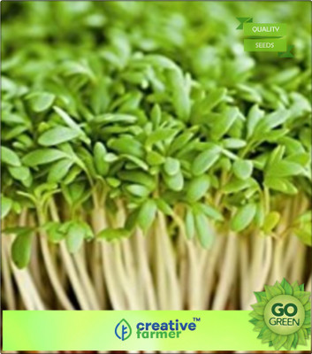 

Creative Farmer Cress Common Seed(20 per packet)