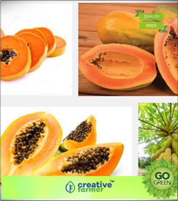 

Creative Farmer Fruit Seeds Hy. Dwarf High Yielding Papaya Produces 100-125 Kgs Fruit Fruit Seeds All Season Bonsai Plant Seeds Seed(20 per packet)