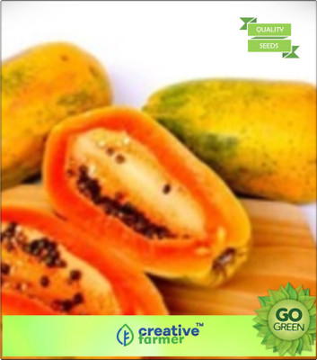 Creative Farmer Fruit Seeds - Papaya Dwarf 50 Seeds Garden Fruit Seeds Seed(20 per packet)