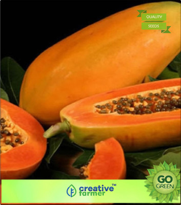 

Creative Farmer Fruit Seeds Papaya Seeds Dwarf Fruit Seeds For Garden Bonsai Plant Seeds Seed(20 per packet)