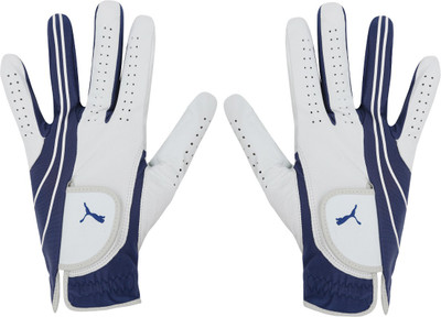 

Puma Form Stripe Perform Glove LH Gym & Fitness Gloves (, Blue, White