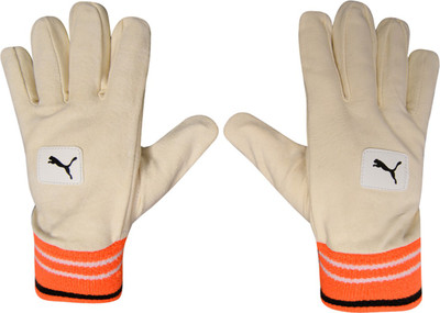

Puma EVO WK full inner Wicket Keeping Gloves (, White