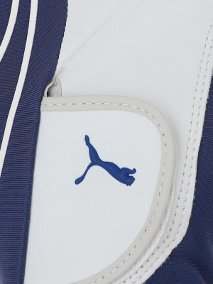 

Puma Form Stripe Perform Glove LH Gym & Fitness Gloves (, Blue, White