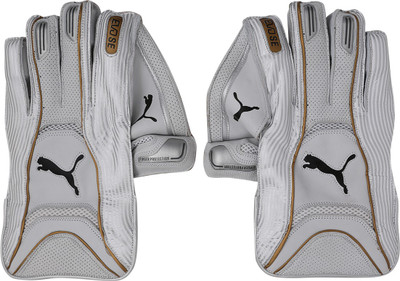 

Puma EVO SE Wicket Keeper glove Wicket Keeping Gloves (Free Size, White), White-silver- black