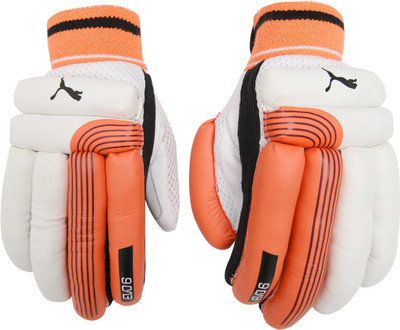 

Puma EVO 6 Batting glove Batting Gloves (Free Size, Red), Fiery coral-black-white-lh