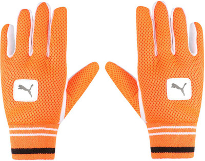 

Puma EVO WK cotton inner Wicket Keeping Gloves (, White