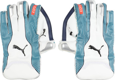 

Puma EVO 3 Wicket Keeper glove Wicket Keeping Gloves (M, Blue), Nrgy turquoise-blue-fiery