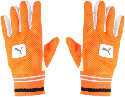 

Puma EVO WK half padded inner Wicket Keeping Gloves (M, White)