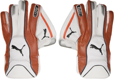 

Puma EVO 1 Wicket Keeper glove Wicket Keeping Gloves (, Red, Fiery coral- black-white