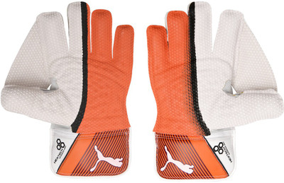 

Puma EVO 1 Wicket Keeper glove Wicket Keeping Gloves (Free Size, Red), Fiery coral- black-white