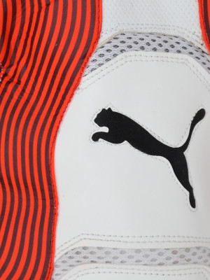 

Puma EVO 2 Wicket Keeper glove Wicket Keeping Gloves (, Red, Fiery coral- black-white