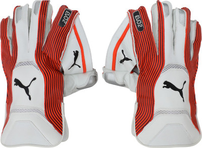 

Puma EVO 2 Wicket Keeper glove Wicket Keeping Gloves (Free Size, Red), Fiery coral- black-white