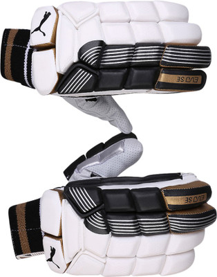 

Puma EVO SE Batting glove Batting Gloves (Free Size, Black), Black-gold-white-rh