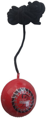 

JetFire Practice Hanging Cricket Ball Cricket Training Ball(Pack of 1, Red)