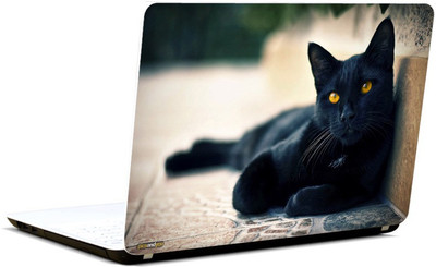 

Pics And You Superhero Themed 046 Black Cat Vinyl Laptop Skin (3M/Avery Bubble Free Vinyl, Matte Laminated, 15 x 10 inches)- LSHR046 Vinyl Laptop Decal 15.6