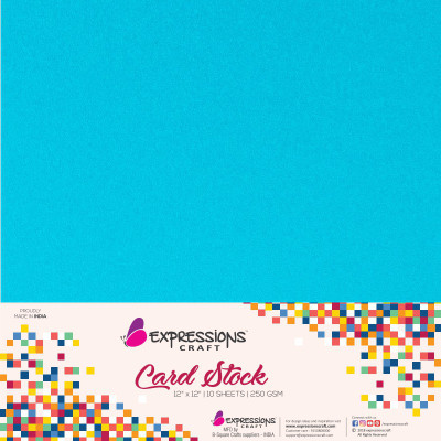 

Expressions Craft Stamps Cardstock Plain 12x12 Multipurpose Paper(Set of 1, Blue)