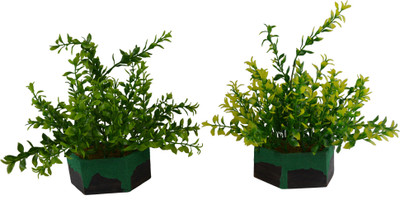 

Fancymart Green leaves plant (size 7.5 inchs/ 20 cms) with Algae Impression Wood pot (set of 2) Multicolor Wild Flower Artificial Flower with Pot(7 inch, Pack of 2)