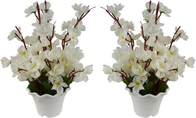 

Fancymart FP-S20090-873 White Wild Flower Artificial Flower with Pot(12 inch, Pack of 2)