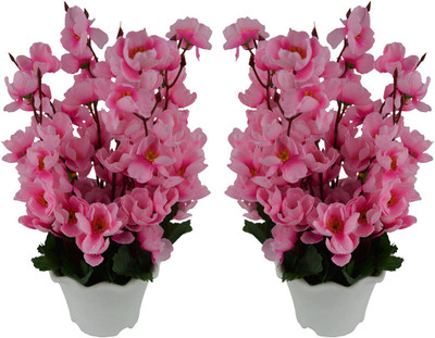 

Fancymart FP-S20152-879 Pink Peony Artificial Flower with Pot(12 inch, Pack of 2)