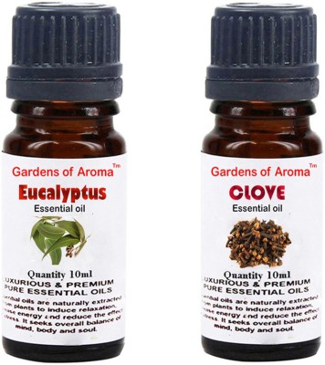 

Gardens Of Aroma Eucalyptus Essential Oil And Clove Essential Oil(20 ml)