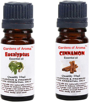 

Gardens Of Aroma Eucalyptus Essential Oil And Cinnamon Essential Oil(20 ml)