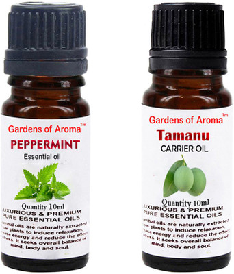 

Gardens Of Aroma Peppermint Essential Oil And Tamanu Carrier Oil(20 ml)