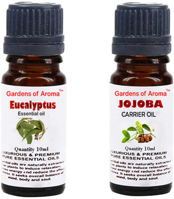 

Gardens Of Aroma Eucalyptus Essential Oil And Jojoba Carrier Oil(20 ml)