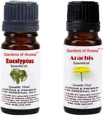 

Gardens Of Aroma Eucalyptus Essential Oil And Arachis Essential Oil(20 ml)