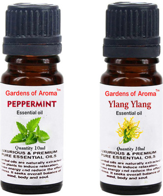 

Gardens Of Aroma Peppermint Essential Oil And Ylang Ylang Essential Oil(20 ml)