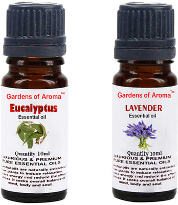 

Gardens Of Aroma Eucalyptus Essential Oil And Lavender Essential Oil(20 ml)