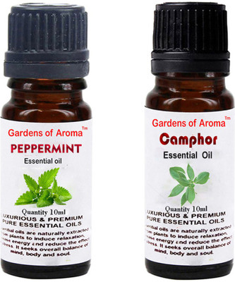 

Gardens Of Aroma Peppermint Essential Oil And Camphor Essential Oil(20 ml)