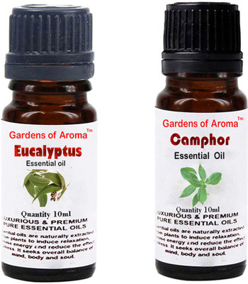 

Gardens Of Aroma Eucalyptus Essential Oil And Camphor Essential Oil(20 ml)