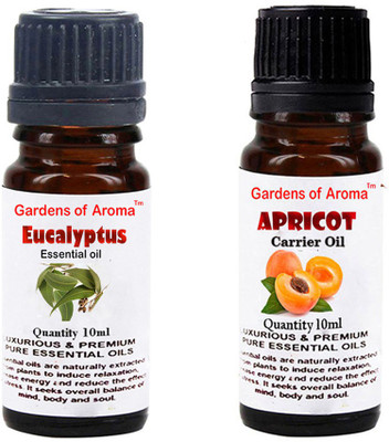 

Gardens Of Aroma Eucalyptus Essential Oil And Apricot Carrier Oil(20 ml)
