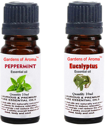 

Gardens Of Aroma Peppermint Essential Oil And Eucalyptus Essential Oil(20 ml)