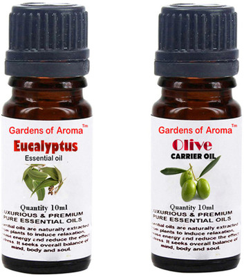 

Gardens Of Aroma Eucalyptus Essential Oil And Olive Carrier Oil(20 ml)