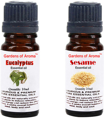 

Gardens Of Aroma Eucalyptus Essential Oil And Sesame Essential Oil(20 ml)