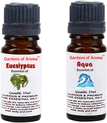 

Gardens Of Aroma Eucalyptus Essential Oil And Aqua Essential Oil(20 ml)