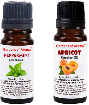 

Gardens Of Aroma Peppermint Essential Oil And Apricot Carrier Oil(20 ml)